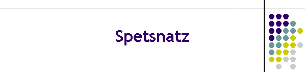 Spetsnatz